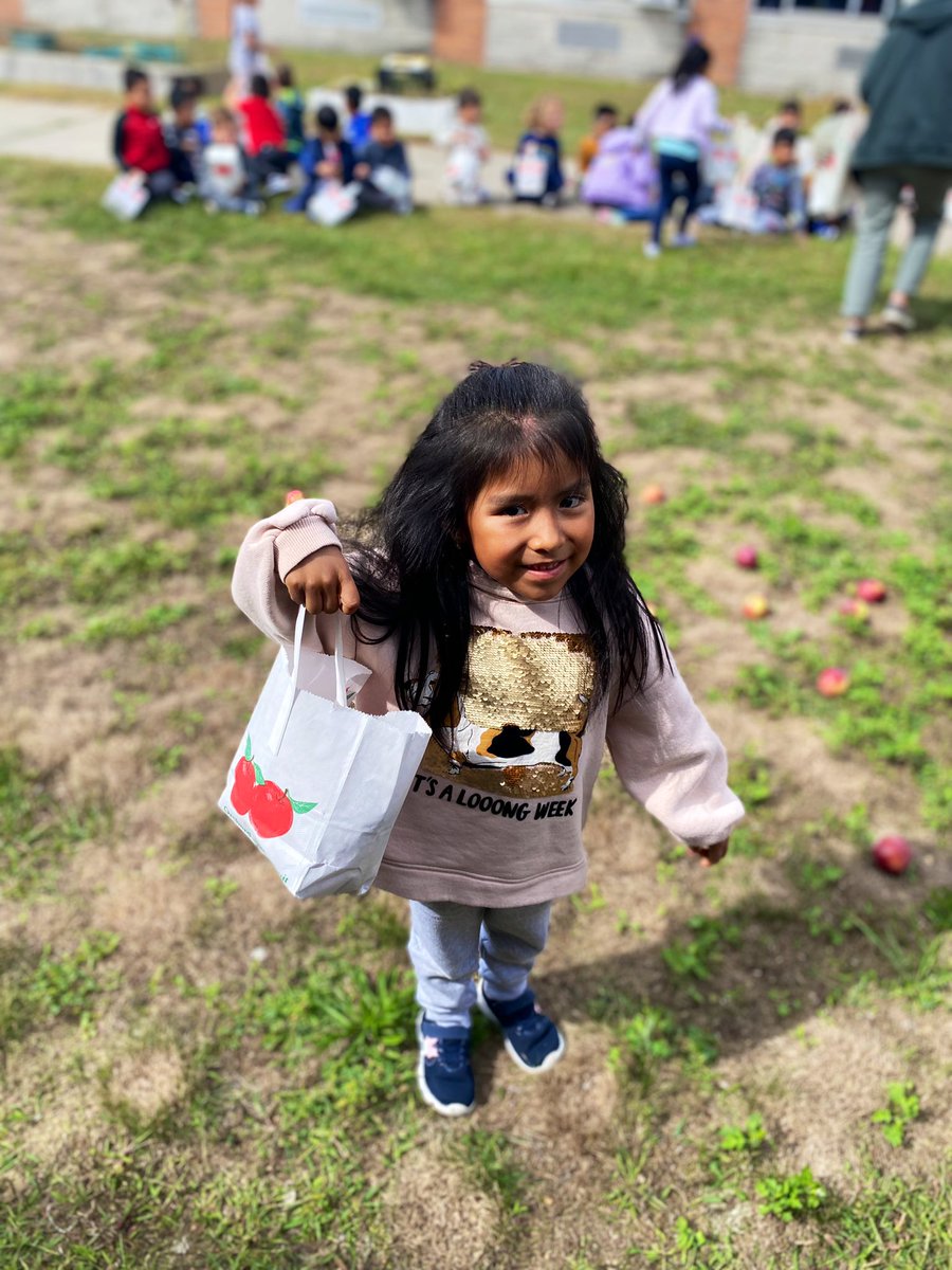 MsJacobs_Rm_15's tweet photo. Our #kinderstars L🍎VED our Apple Picking Day @PhillipsAveElem @MrsTomer_Rm16 https://t.co/p1SvrL1nSF