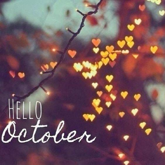 leannejameson26's tweet photo. Hello October, queue the cold crisp nights and the Rustle of leaves 🍁🎃 #winter is coming ☃️❄️ https://t.co/HgHUG2ytpI