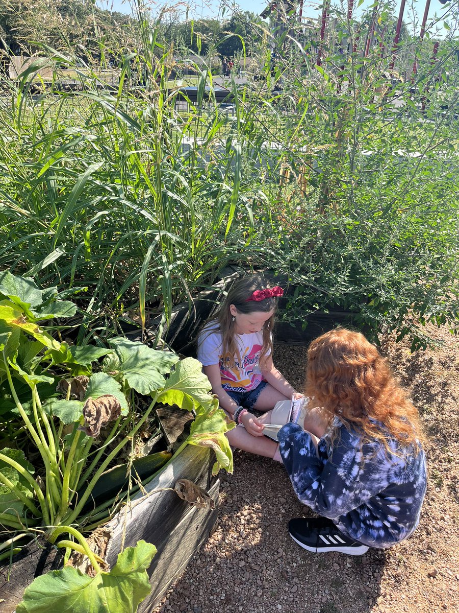 Lelia Lyman tweet media