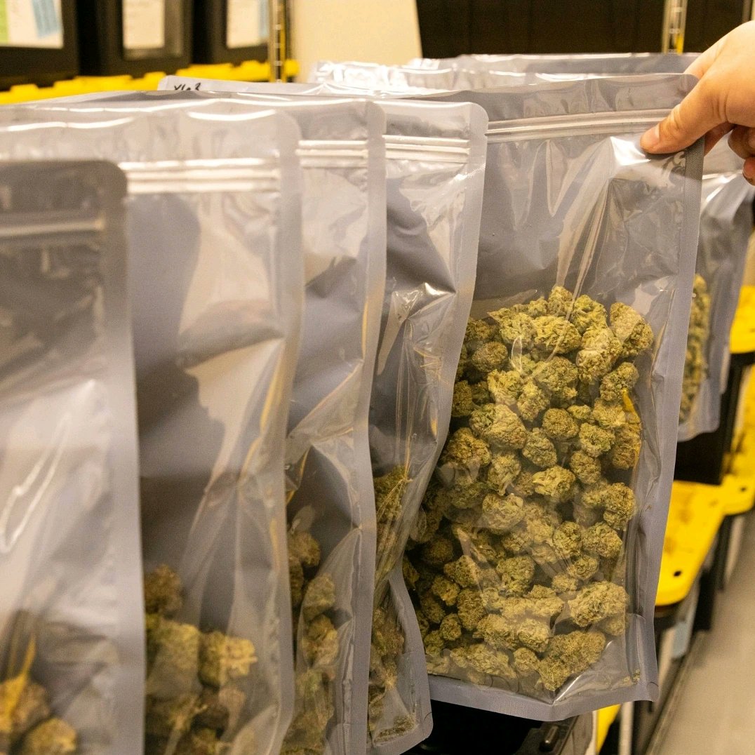 lighterrrIO's tweet photo. (NEW DELTA-8 MOONROCKS)
Hemp World Dispensaries 
100 Business Center Parkway Suite A 
Pearl, Ms.39208 
769-257-7566. 
Hemp World Dispensaries
6351 Interstate 55 North Frontage Rd Suite 119, Jackson, MS 39213.  Open Monday-Sunday 10am-7pm. 
 https://t.co/v7CyxHsQ07 https://t.co/QR3q04FeP0