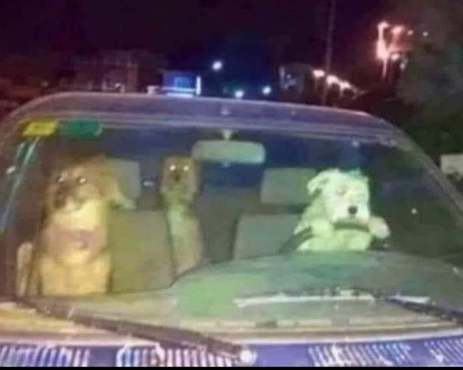 Me and my buddies going out