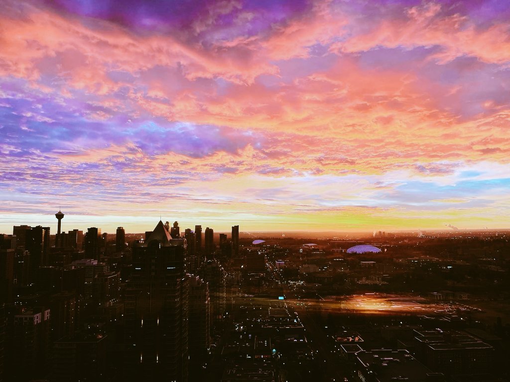 floydylan's tweet image. The rules are set to paradox, coercion and blind faith.