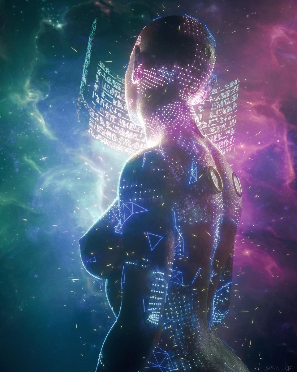 parrott 💎🦜 tweet media