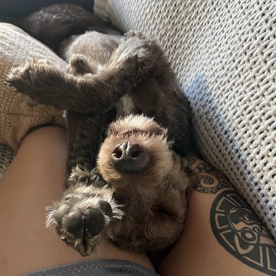 camschmitty's tweet photo. #NewProfilePic https://t.co/f2V7oD1YJJ
