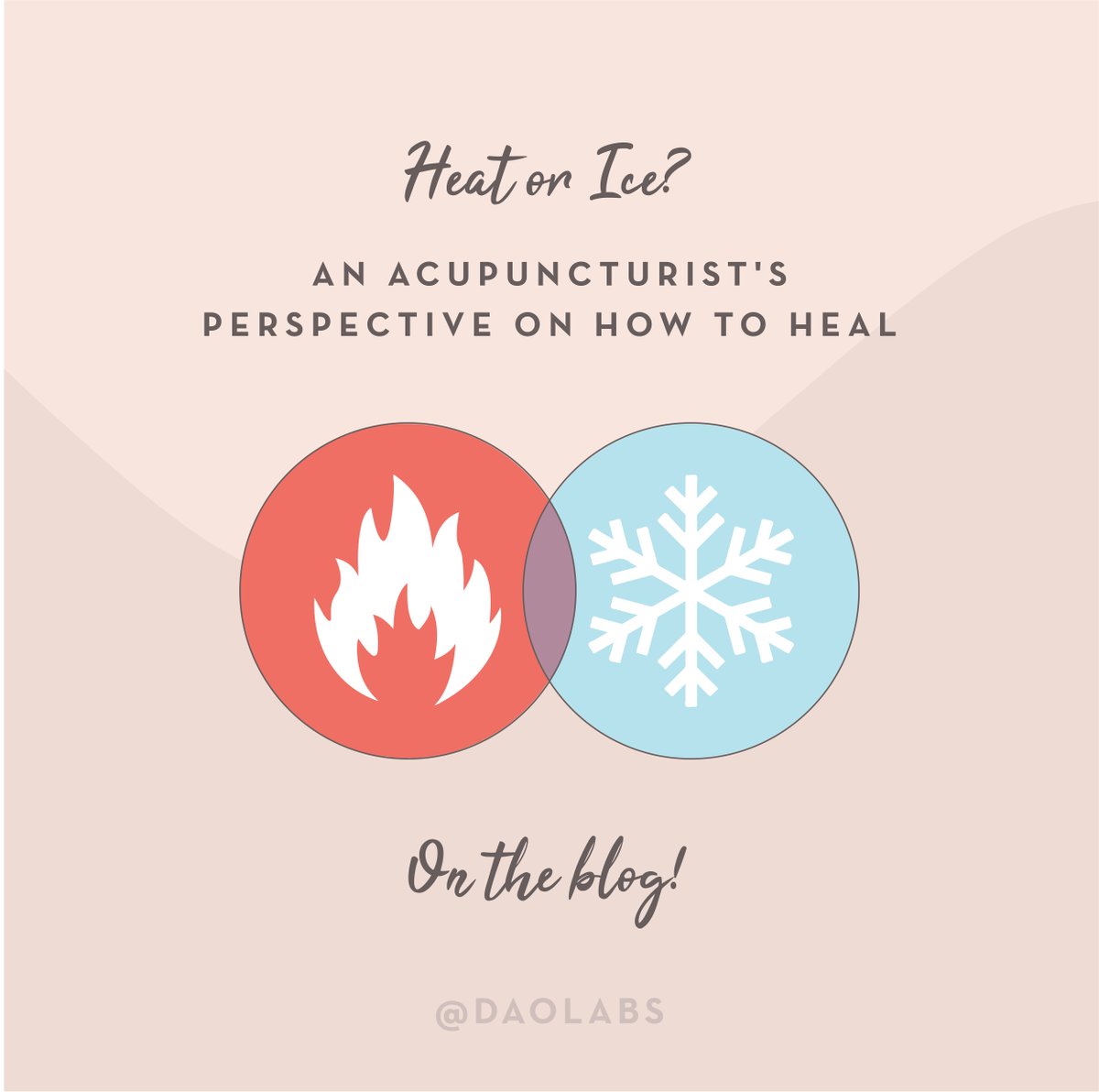 DAO Labs (@daolabs) on Twitter photo 