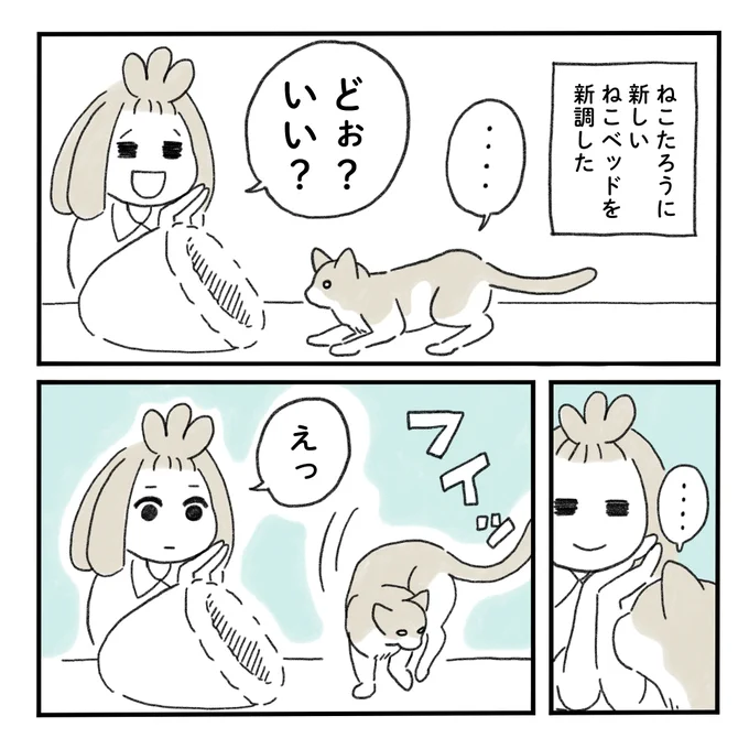 ただ、きみの喜ぶ顔がみたいだけ#みちこの日記 #猫のいるくらし 