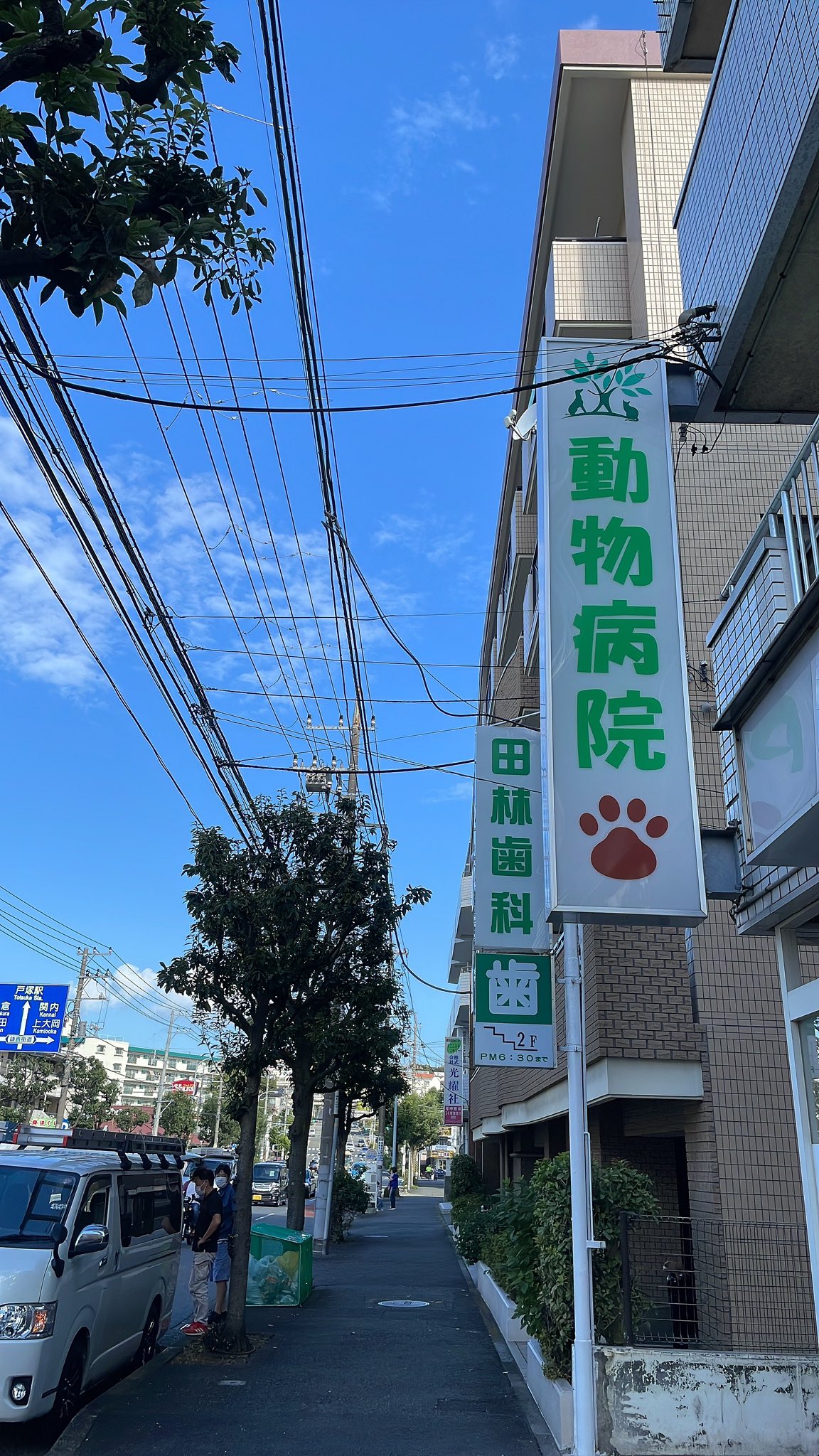 港南台どうぶつ病院 Figaro5195 Twitter