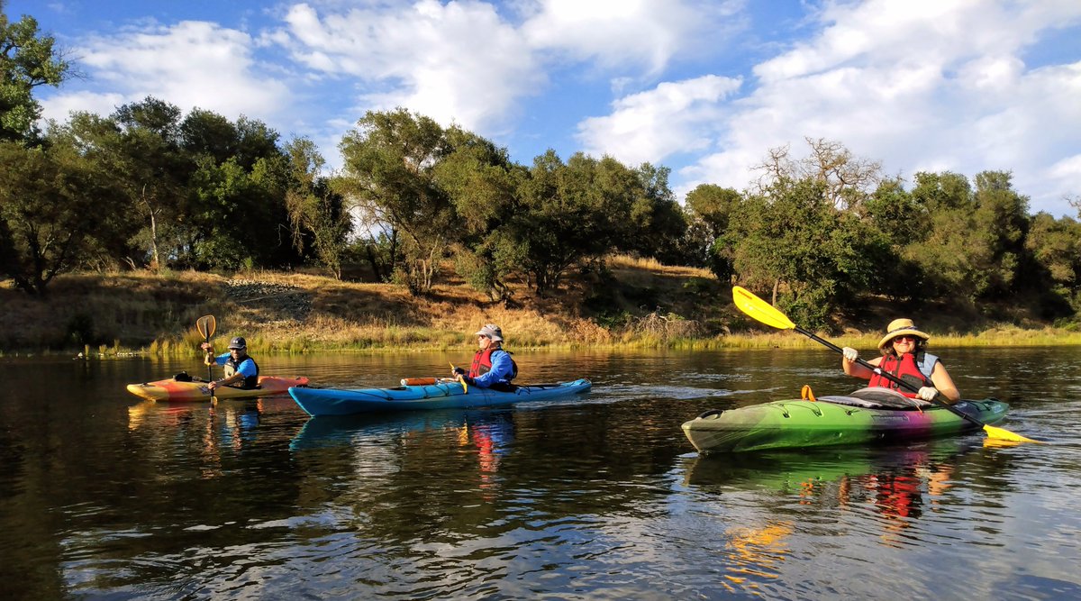 Nick Carlson tweet media