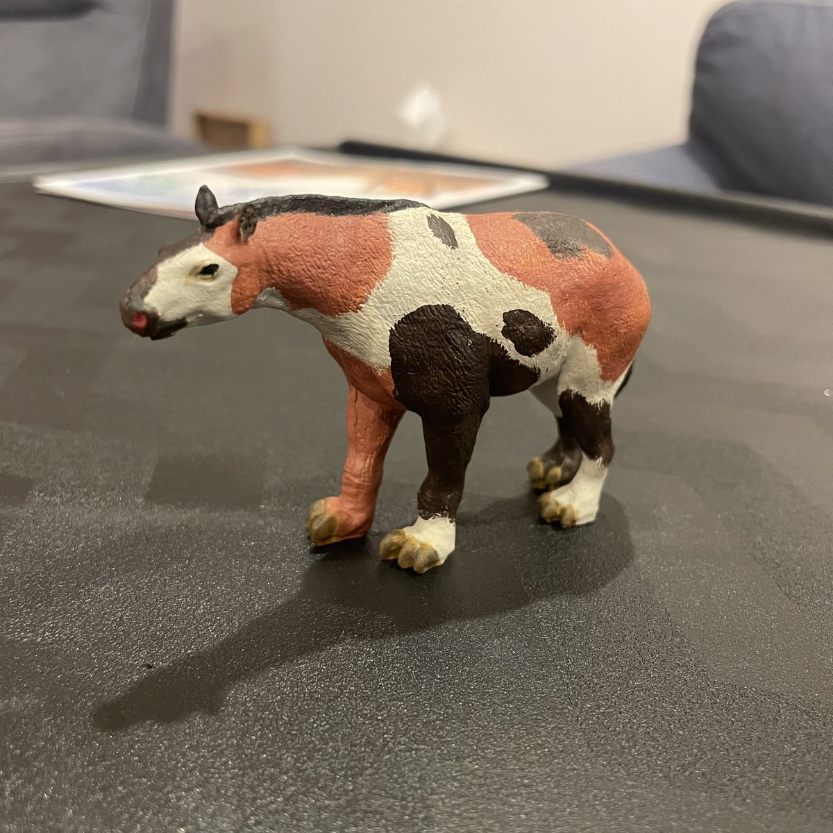 Dino Dad Reviews 🦕📖🦖 tweet media