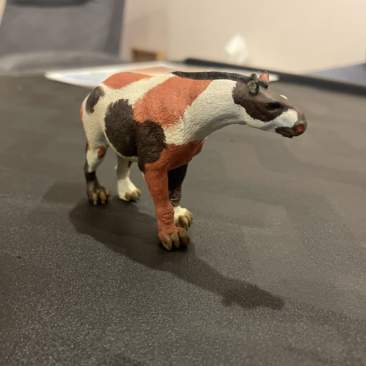 Dino Dad Reviews 🦕📖🦖 tweet media