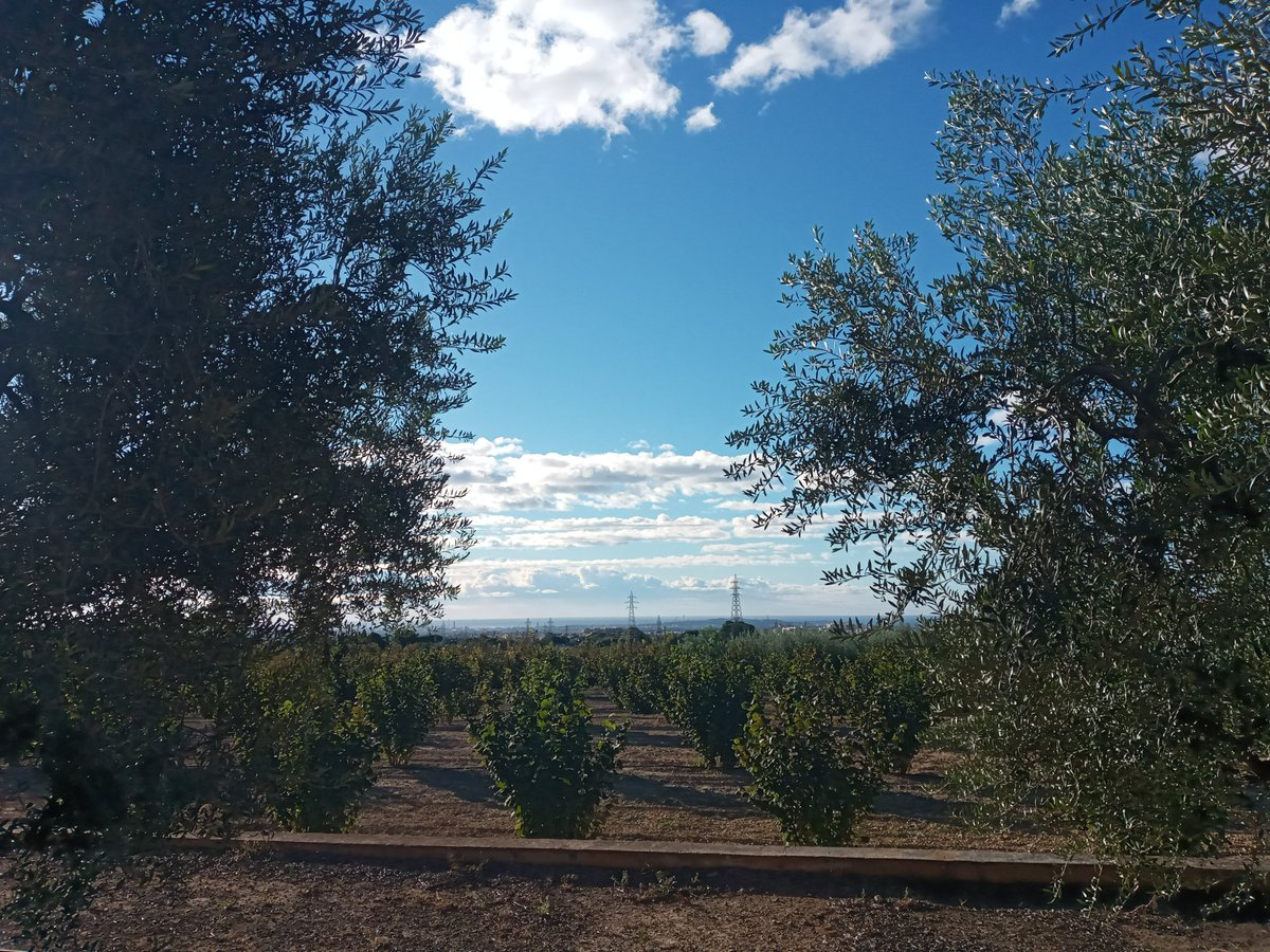 Luchiaka24's tweet photo. 🚵🏾‍♀️Naturaleza
Una Belleza Única y inexplicable
transparente
Pura
Esencial para Nuestro Universo
Viva La Natura 🌿🌲☘️🍁

👉🏾https://t.co/Vs7ENqLYyf

#naturaleza #viulanatura #otoño#verd #arbres🌳 #nubuls #cel #paisatge https://t.co/dyInQX55d0