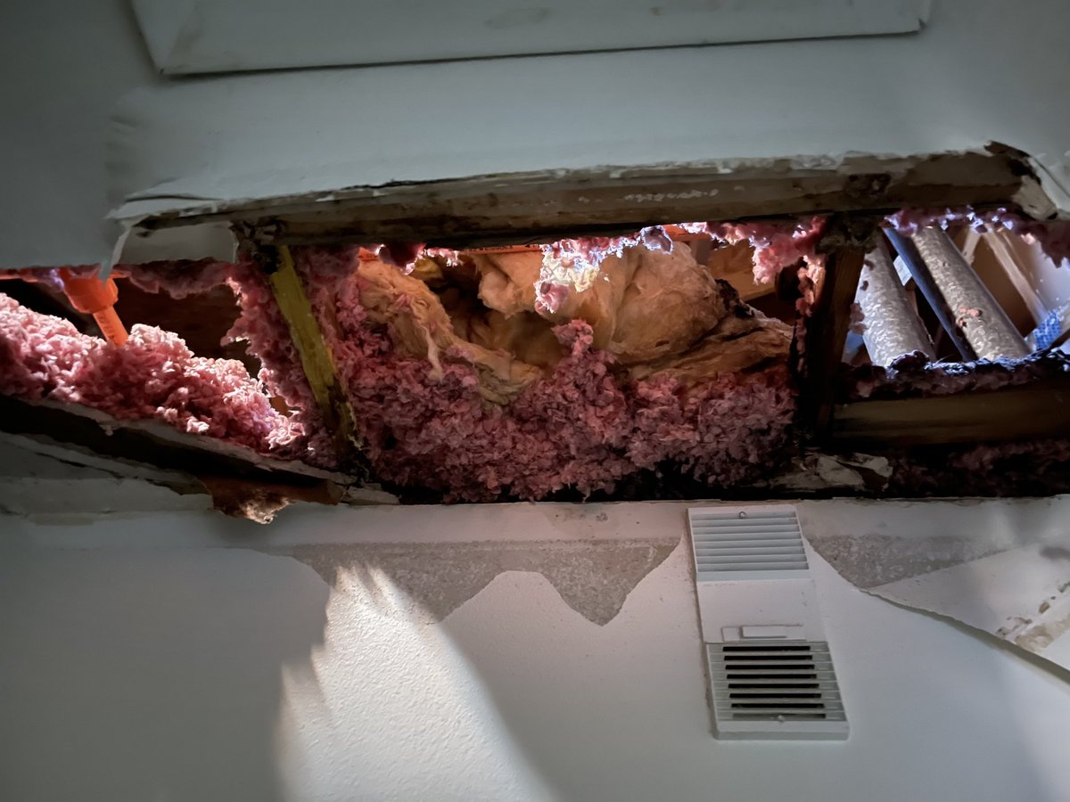 For those of you who may not know, we were right in the path of Hurricane Ian. Still no power and the rain gave us a new skylight. Not sure when I’ll be back up and running but I do hope it’s soon. Hope everyone else who was affected is doing well. #HurricaneIan