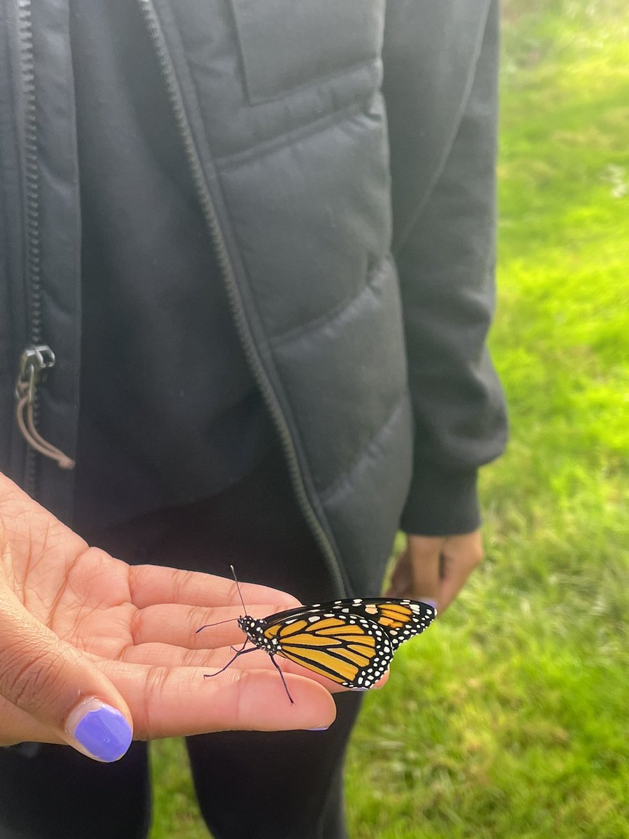 Another release of a monarch butterfly with the environmental science club <a href="/theTwinsburgHS/">THS</a>