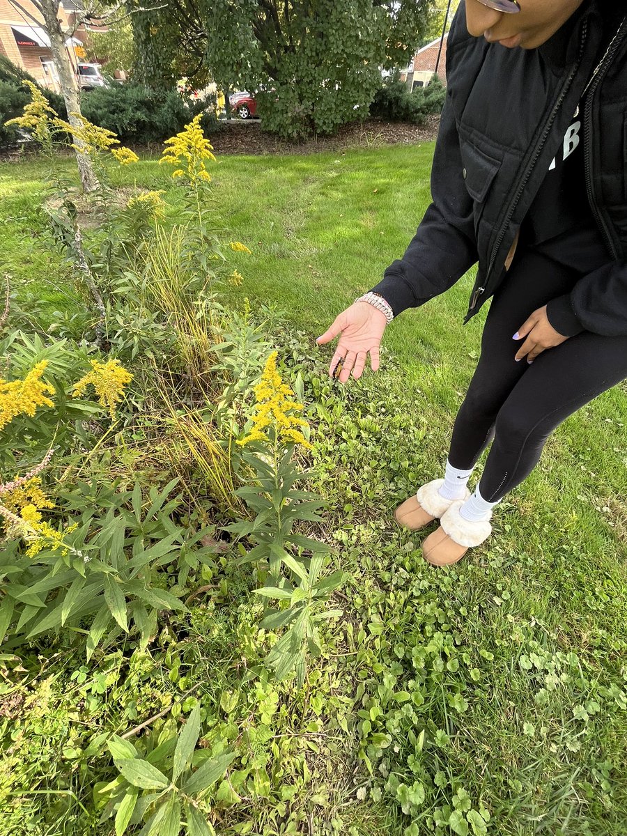 CKurtScience's tweet photo. Another release of a monarch butterfly with the environmental science club @theTwinsburgHS https://t.co/em1PJVFrKP