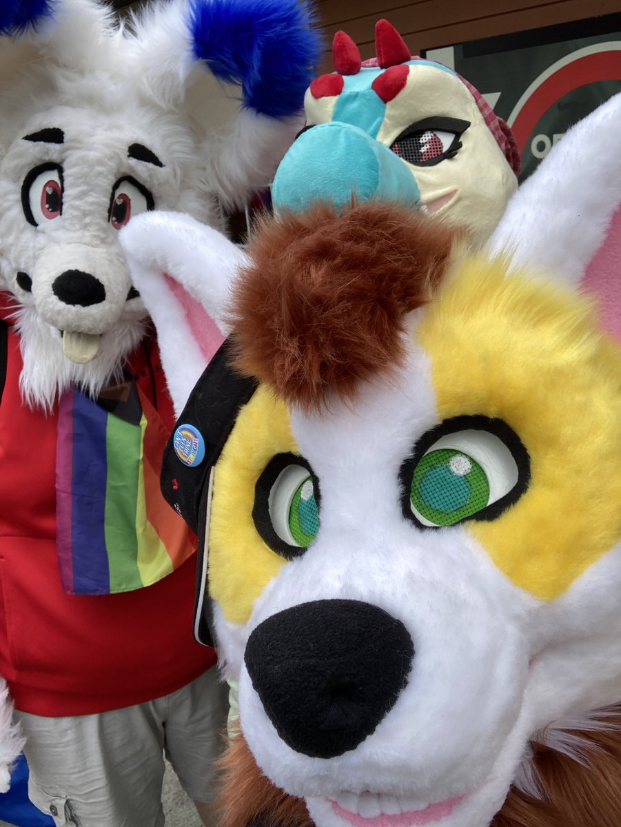 Oops I’m late to fursuit Friday 
Here’s some pics from the <a href="/NLFurs/">Newfoundland and Labrador Furry and Anthro Society</a> at <a href="/StJohnsPrideNL/">St. John's Pride</a> !!! From pride weekend!!