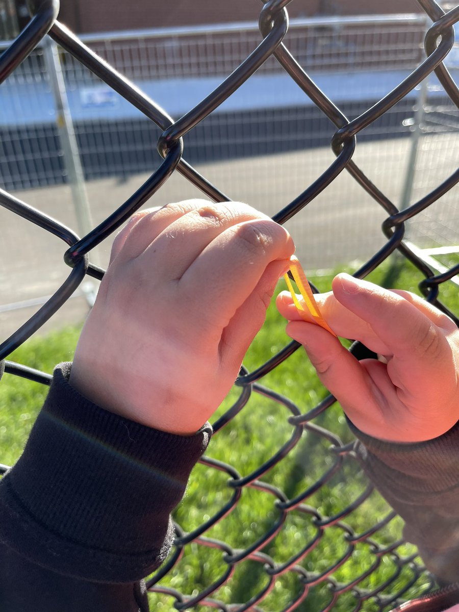 MrsCElementary's tweet photo. The tying of orange ribbons to honour the survivors and ones that didn’t come home. A visual reminder in the weeks to come. #OrangeShirtDay2022 @StPeter_YCDSB https://t.co/R6BoAJ3wgC