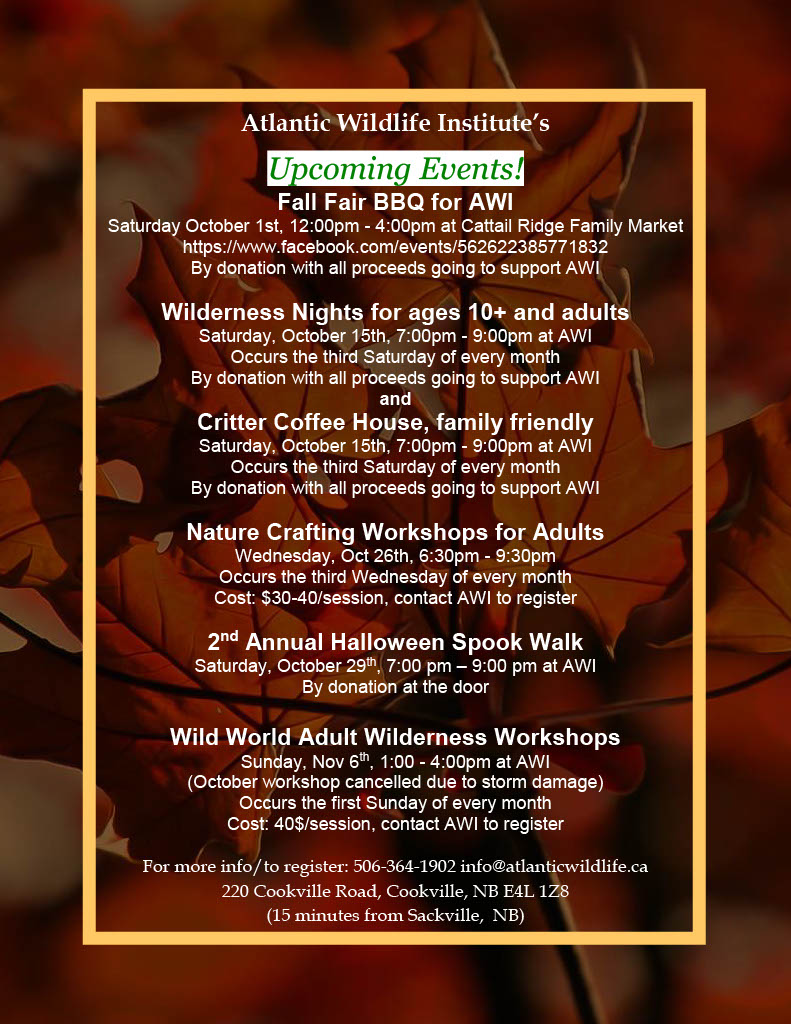 atlanticwild's tweet photo. See you tomorrow at the BBQ! 12-4 pm @ Cattail Ridge Family Market, 5 Stephens Drive Exit 506, Sackville, NB #Fundraiser #SupportAWI #BBQ #AWImerch 
https://t.co/pMPdg6aLTl https://t.co/4bQwtdL4zd
