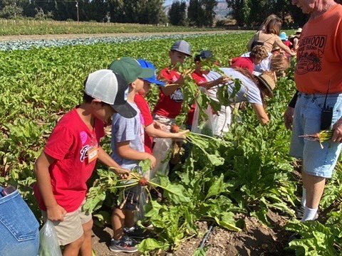 VCSCrusaders's tweet photo. Thankful for the opportunity to take our first graders out on an awesome field trip to Underwood Farms! Such a great day!
_____
#VCSFamily #CRUNITED #VCSElementary #VCSFieldTrips https://t.co/7WlpFqNNrN