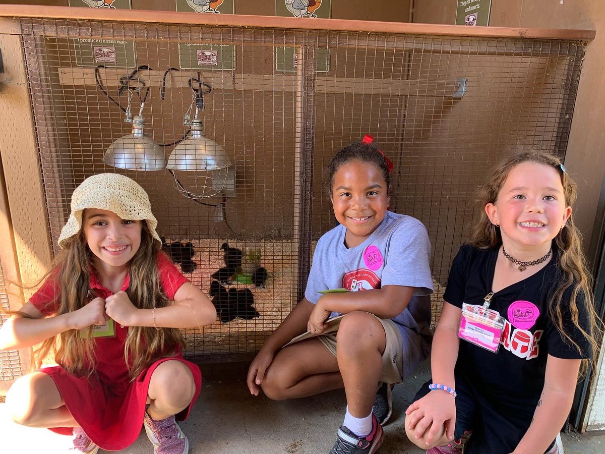 VCSCrusaders's tweet photo. Thankful for the opportunity to take our first graders out on an awesome field trip to Underwood Farms! Such a great day!
_____
#VCSFamily #CRUNITED #VCSElementary #VCSFieldTrips https://t.co/7WlpFqNNrN