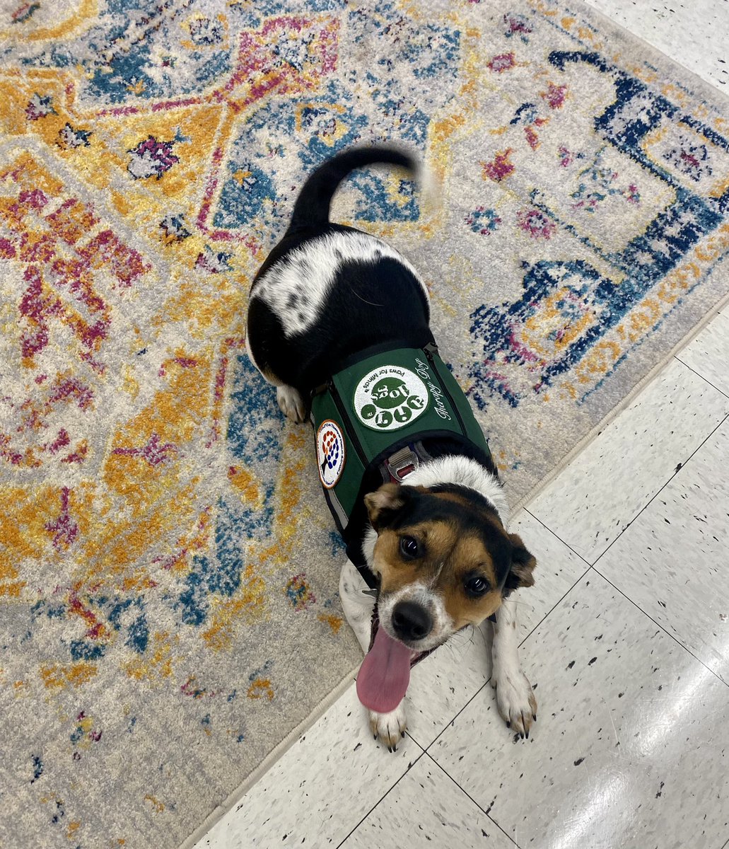 rpsbss's tweet photo. @mtessler @RPPrincipal Oh no! Not sure why the letter didn’t work out, but here is a good picture of Lucy. https://t.co/D7PRXwfSw7