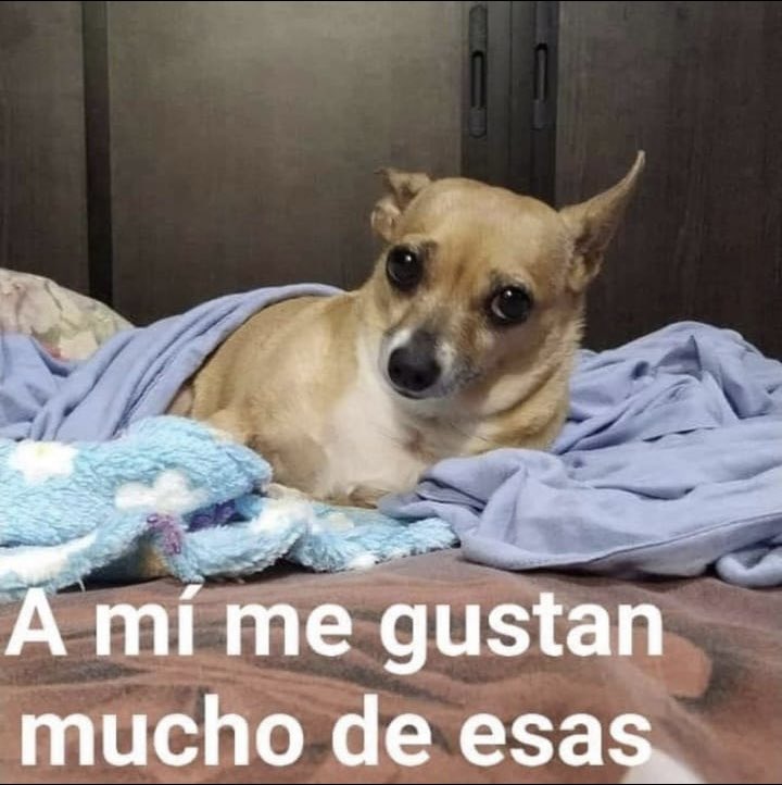 xpawsi_'s tweet photo. Trajeron masas finas y yo no puedo comer nada con gluten pero obvio me comí 3 y me inflé y vomité y me sentí mal y todos me decían por que comiste 😡 !! Y yo tipo https://t.co/qBWCJFGqFu