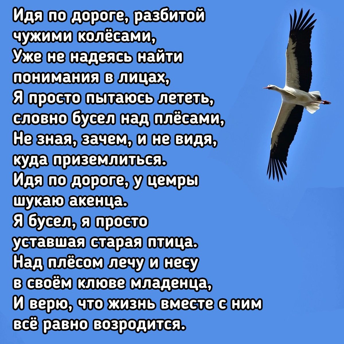 DmitryK4's tweet photo. https://t.co/x6wnyYHCvM