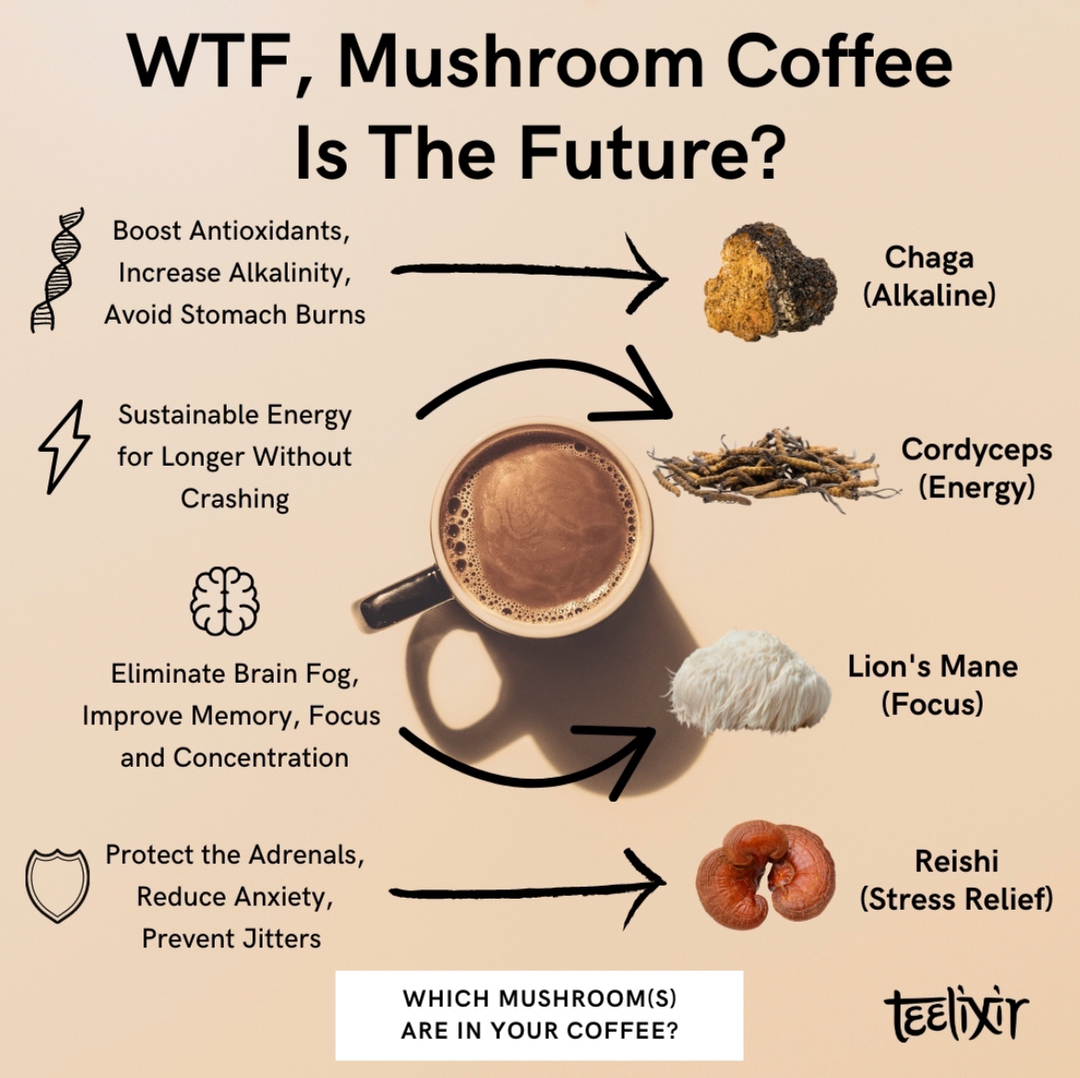 Teelixir's tweet photo. MUSHROOM COFFEE IS THE FUTURE​​​​​​​​
Mushroom coffee has become one of the biggest health trends in recent years, and for good reason.​​​​​​​​
​​​​​​​​
It's estimated that over three billion cups of coffee are consumed every day ar https://t.co/6UHWN71apG