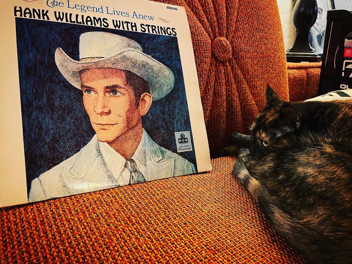 SonnyMacMusic's tweet photo. There’s a new Sonny Mac cover tune on YouTube TODAY! Why don’t ya Move It On Over there & take a listen!
https://t.co/L4avaEKfwX
#hankwilliams #yegmusic #albertamusic #cat #cowboycat #vintage #coversong #youtube #yeg #moveitonover #countrymusic #yegcountry #albertacountrymusic https://t.co/L5ZkXK7LWS