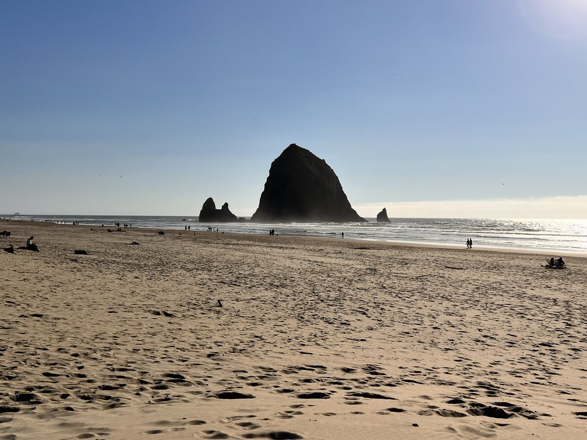 Carole Olinger🤘🇪🇺 tweet media