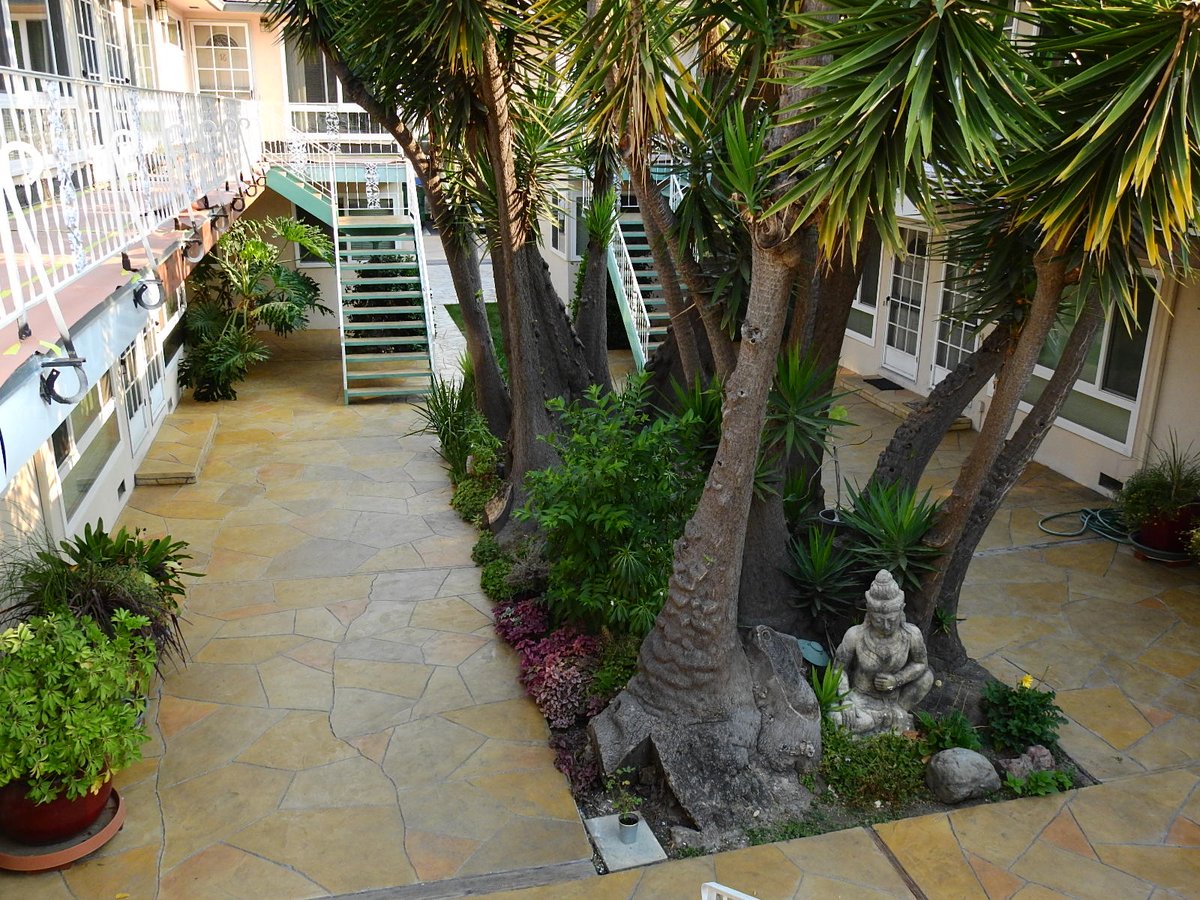 Michael Shields tweet media