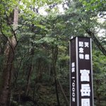 ツイートに含まれる画像