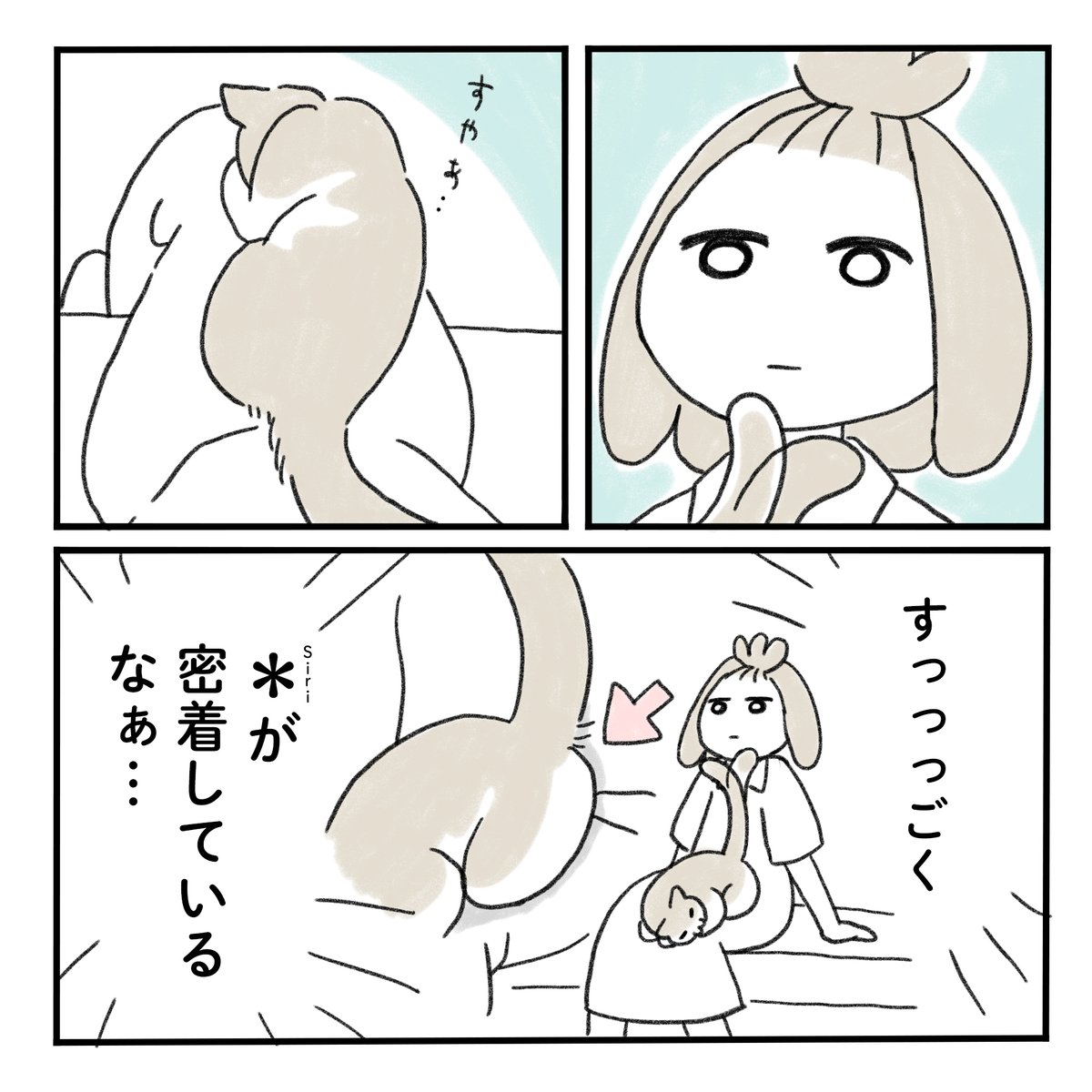 わたしたちは、ただそこにある温もりに身を委ねる

#猫のいる幸せ  #みちこの日記 