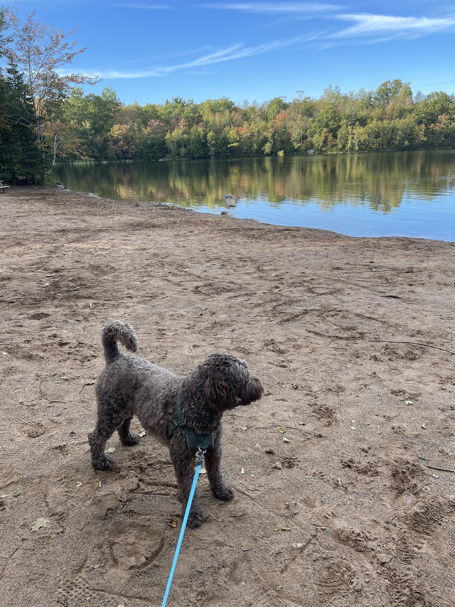 Happy to end this week at Shubie Park with my best bud. Bye, September