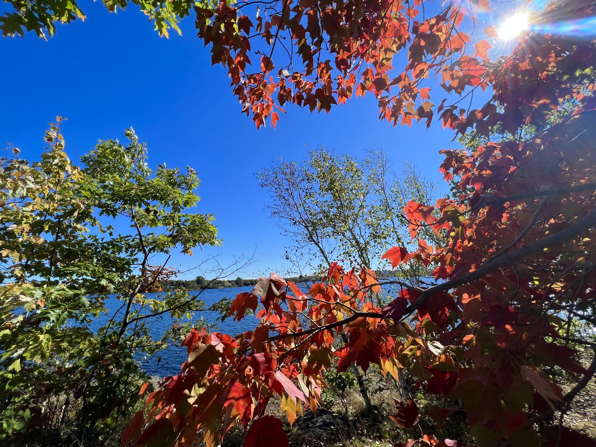 HeyItsMeMissJT's tweet photo. A picture perfect day for a hike. #RamseyLake #FallFoliage Life starts all over again when it gets crisp in the fall. #Hiking #FallFitness #Autumn #September #SweetAndSimple #LakeSide #CardioWithAView ππβοΈπ₯Ύπ https://t.co/id8U78gFJh