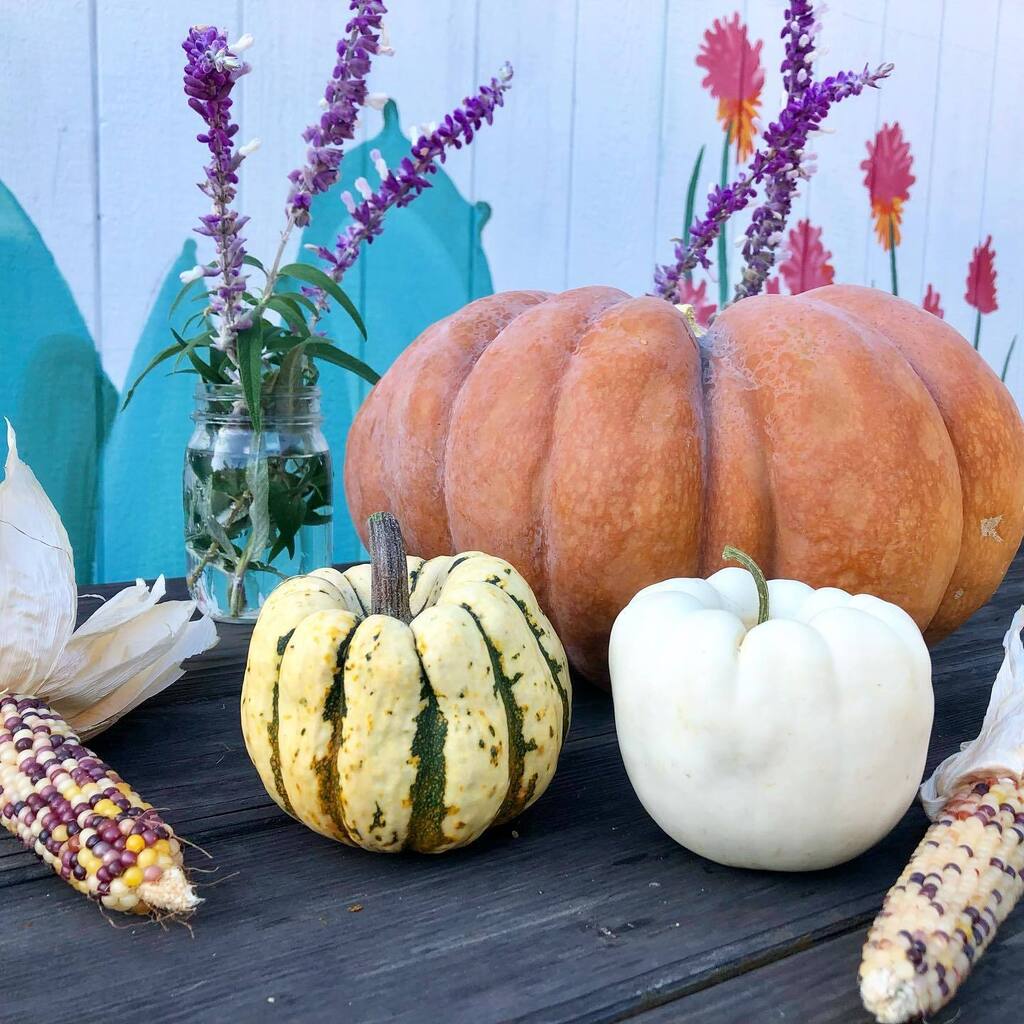 PV School Gardens tweet media