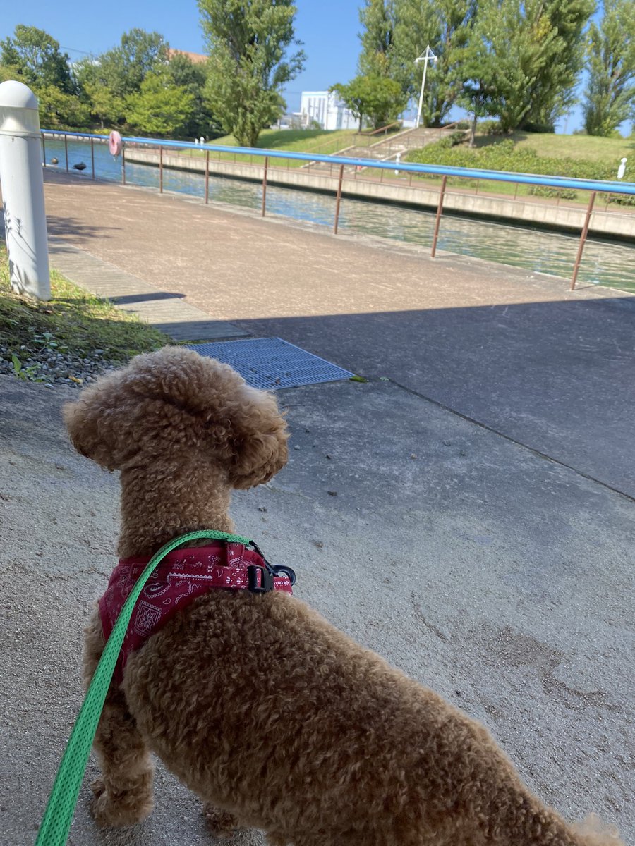 懐かしいな。この景色