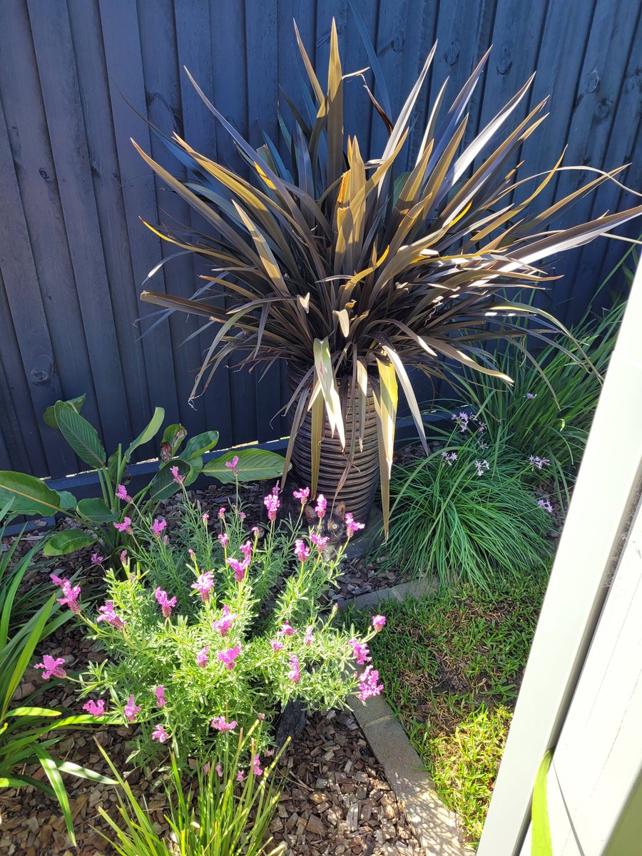 Ava is playing hide and seek