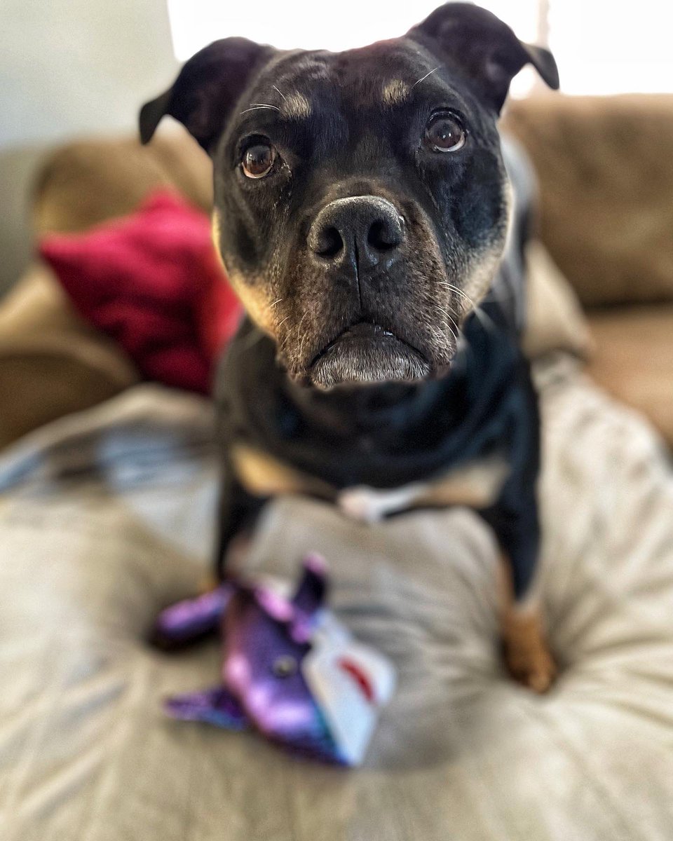 Lindsay Hines tweet media