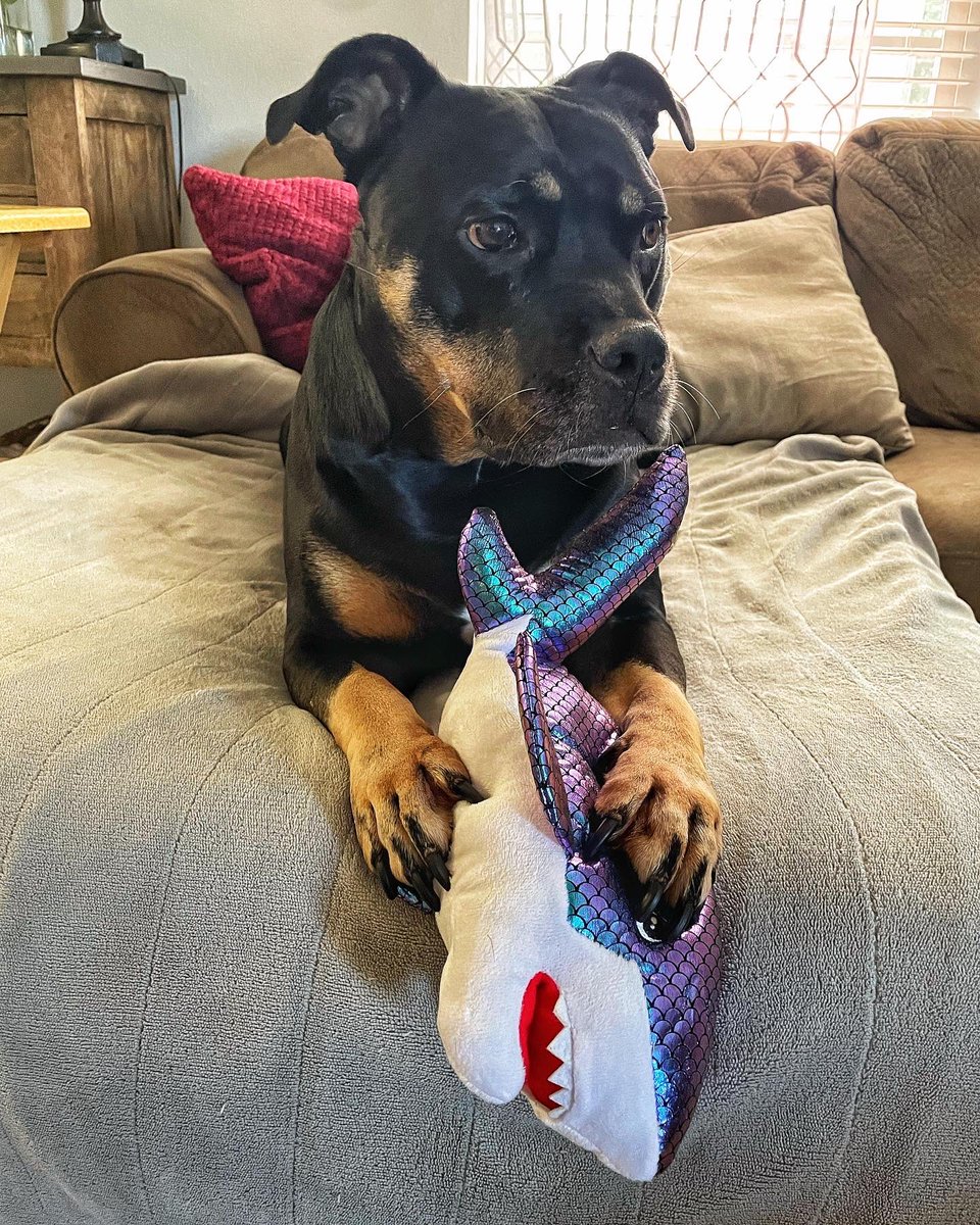 Lindsay Hines tweet media