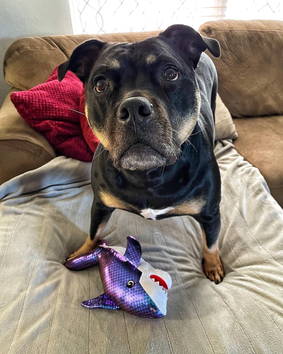 Lindsay Hines tweet media