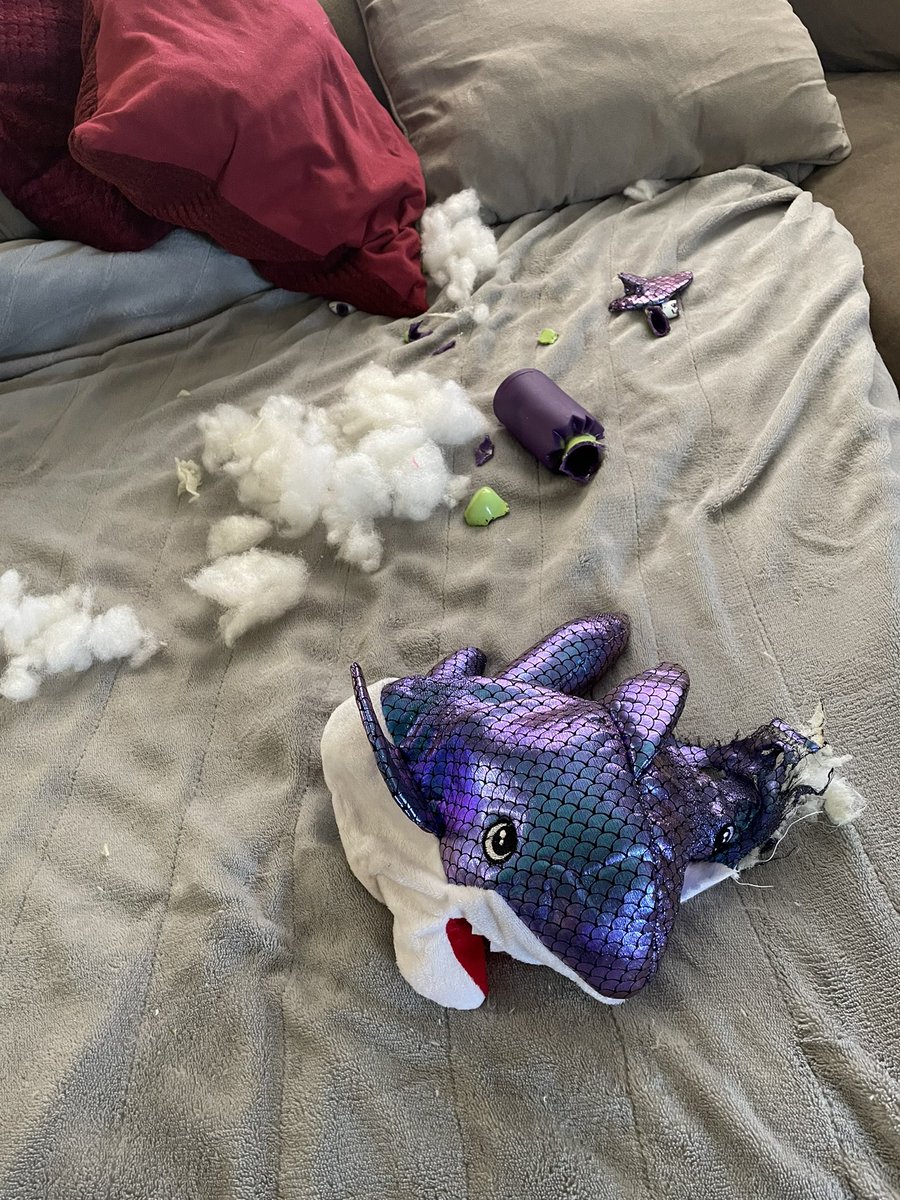 Lindsay Hines tweet media