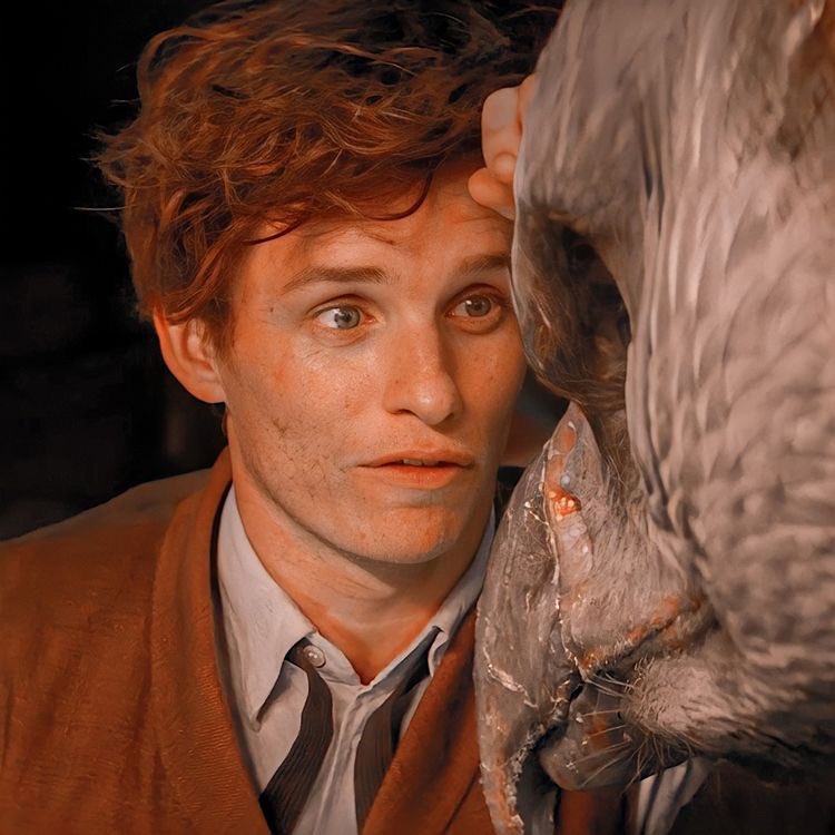 thiegonovais's tweet photo. Eddie Redmayne simplesmente nasceu para interpretar Newt Scamander, vamos combinar! 💛 https://t.co/3es6VsxFhJ