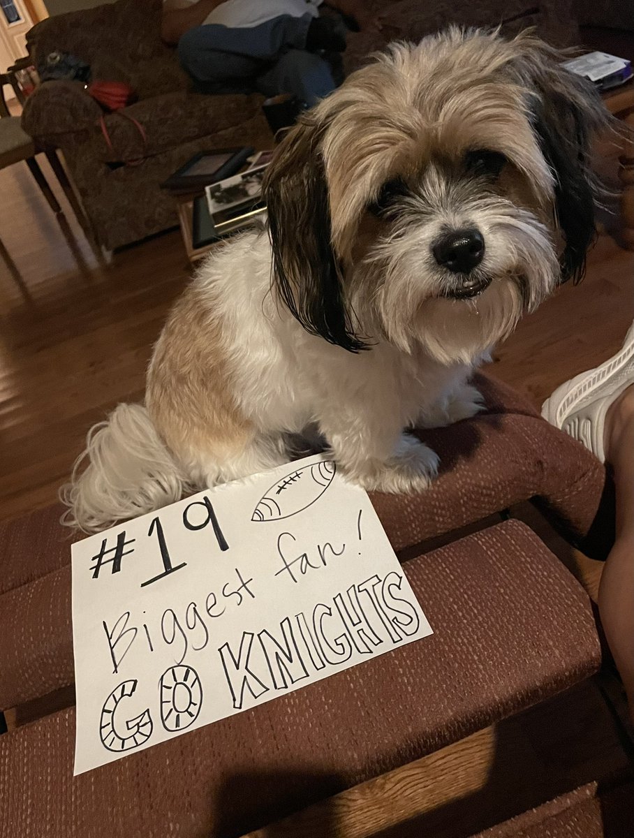 lovelearning75's tweet photo. Bo Bo says GO KNIGHTS! Go #19 π€π #gameonccisd https://t.co/CLxTeZRpbu