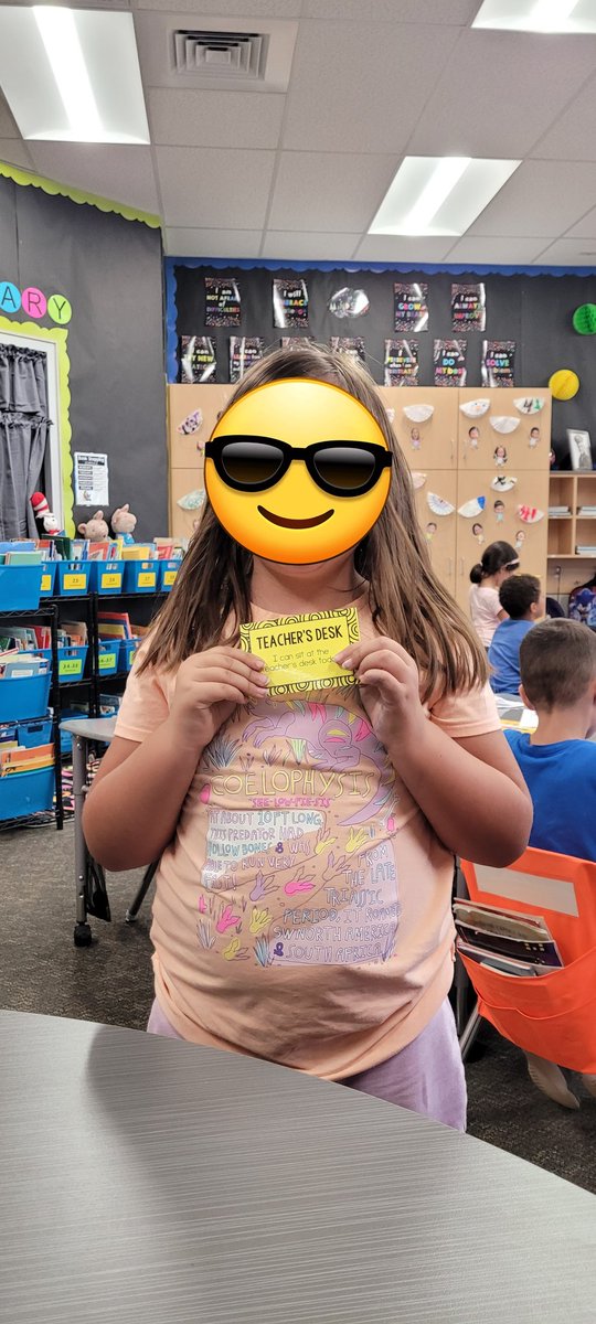 I've been using a new reward system this year that is zero cost (or a small start-up cost) and help to build a classroom community. The kids are loving them! Teacher's desk for the day and Lunch Bunch with the teacher are wildly popular.