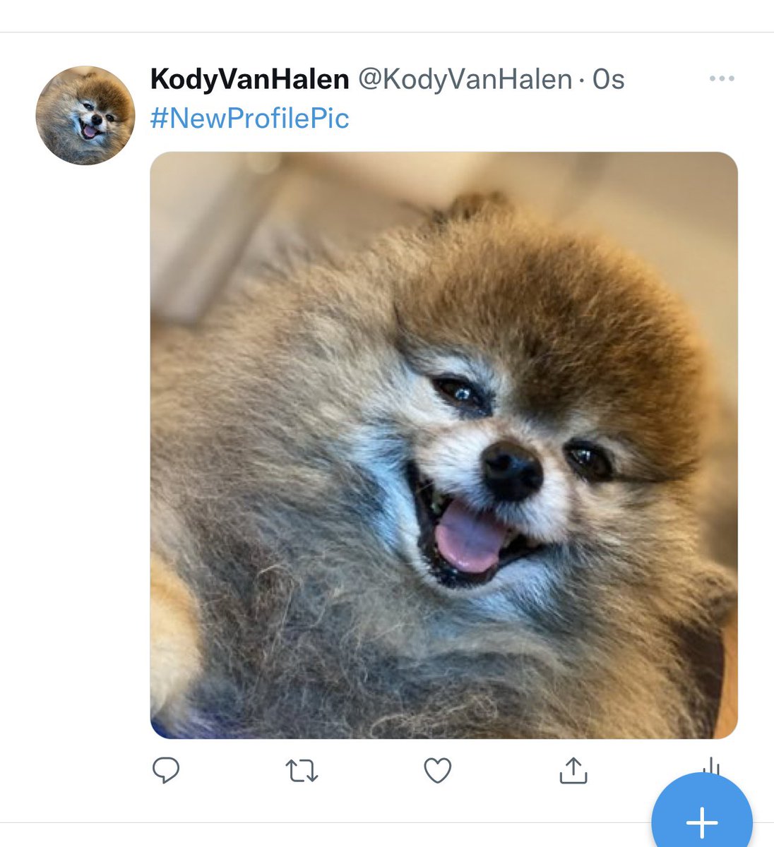 Janie Van Halen tweet media