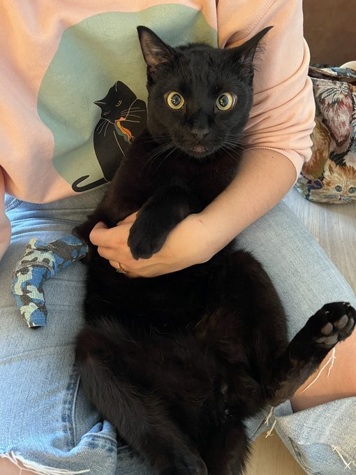 He is home for the night then right back 😞 https://t.co/fPgZr2p1ek<a href="/tag/cute"class="tags"><span>#cute</span></a><a href="/tag/cutie"class="tags"><span>#cutie</span></a><a href="/tag/trap"class="tags"><span>#trap</span></a><a href="/tag/transgender"class="tags"><span>#transgender</span></a><a href="/tag/trans"class="tags"><span>#trans</span></a><a href="/tag/shemale"class="tags"><span>#shemale</span></a>