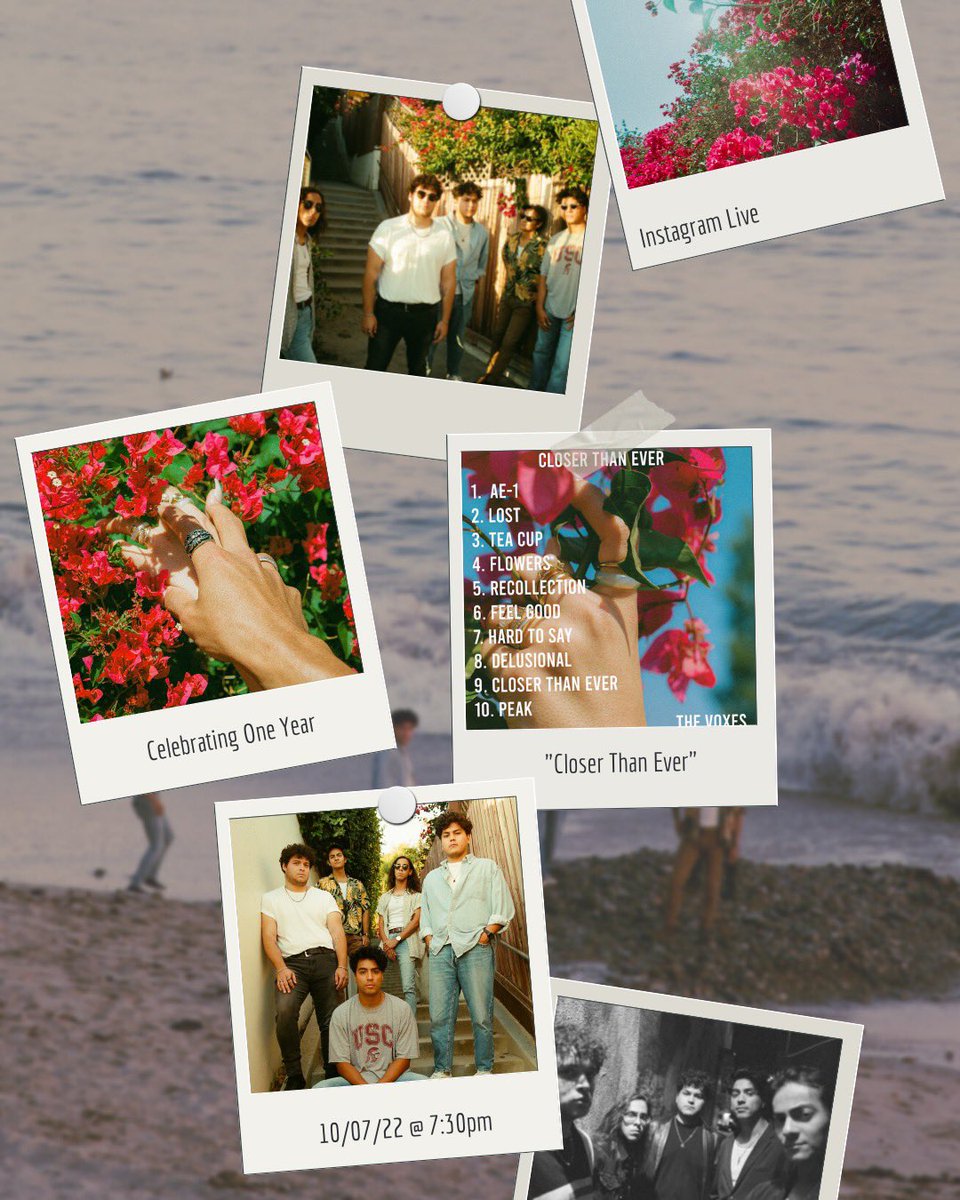 TheVoxes tweet media