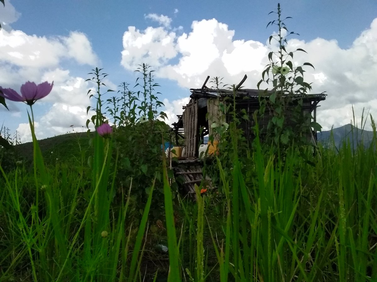 Khuangchawi thla/October