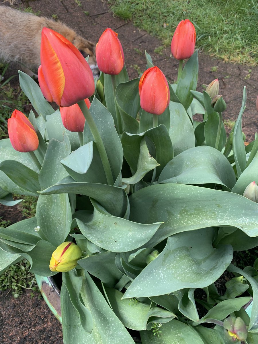 Nearly there. Inspector Alice #borderlife