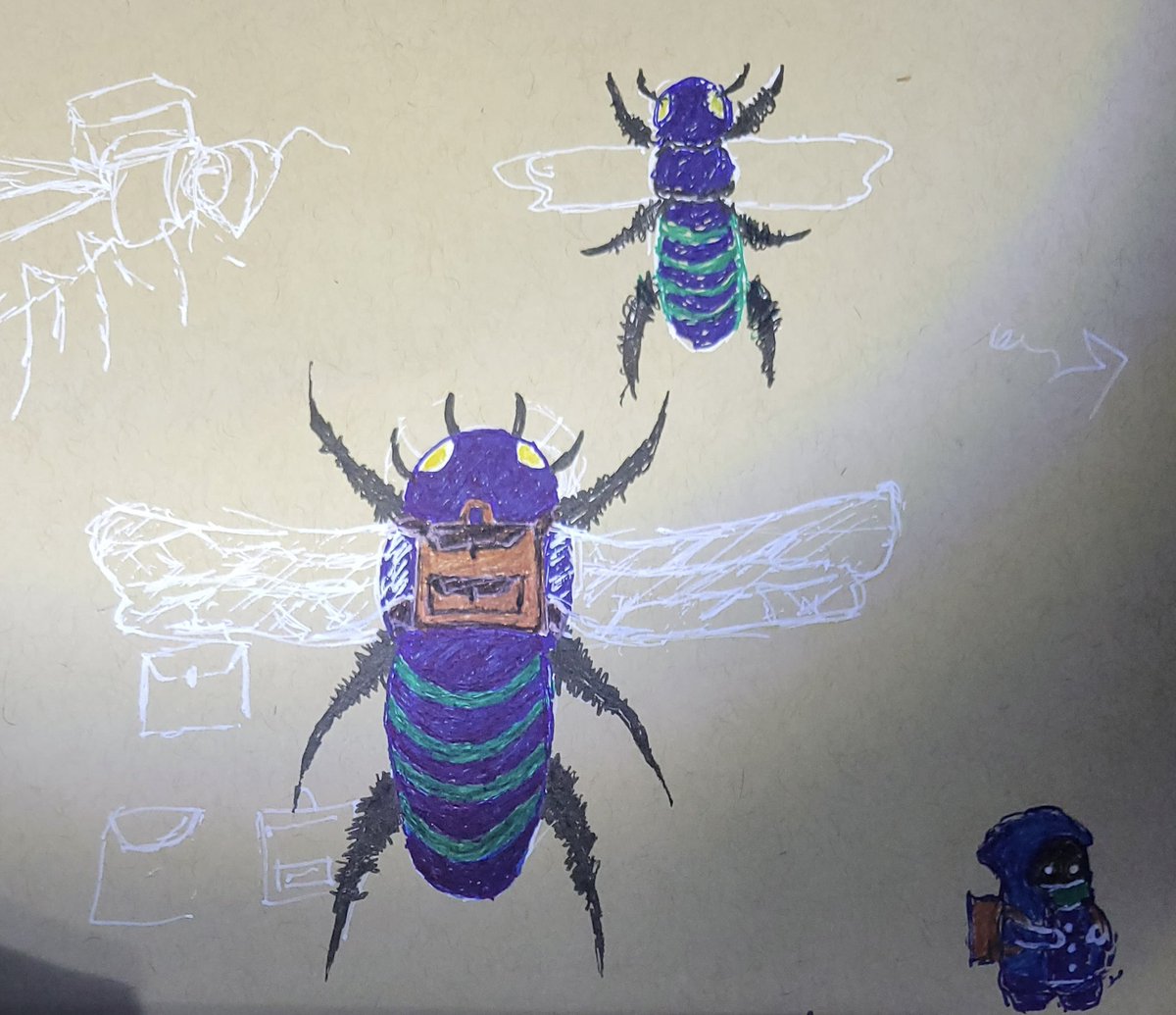 AylaPerkins's tweet photo. @apico_game And I’m also posting for @the_cro_ who lost power due to the hurricane but wanted to make sure she was able to send in her design for a night merchant bee!! https://t.co/TwE14V2txr